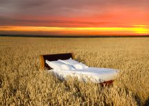 why sleep matters