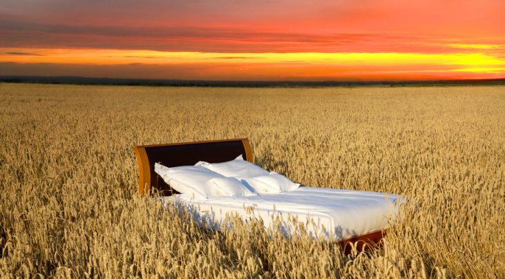 why sleep matters